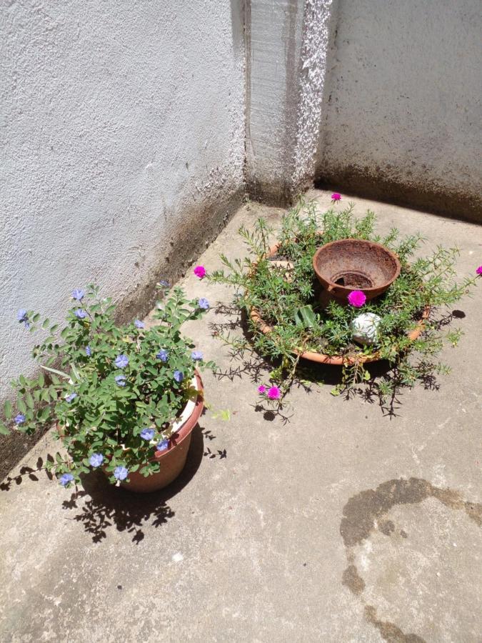 Quarto Em Casa De Condominio São Pedro da Aldeia エクステリア 写真